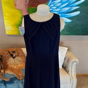 Navy Fit and Flare Dress